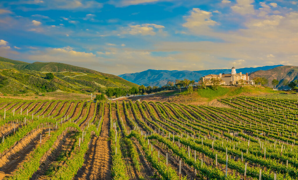The symmetrical rows of a California vineyard and its grand estate house are flanked by distant green mountains.