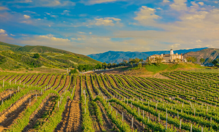 The symmetrical rows of a California vineyard and its grand estate house are flanked by distant green mountains.