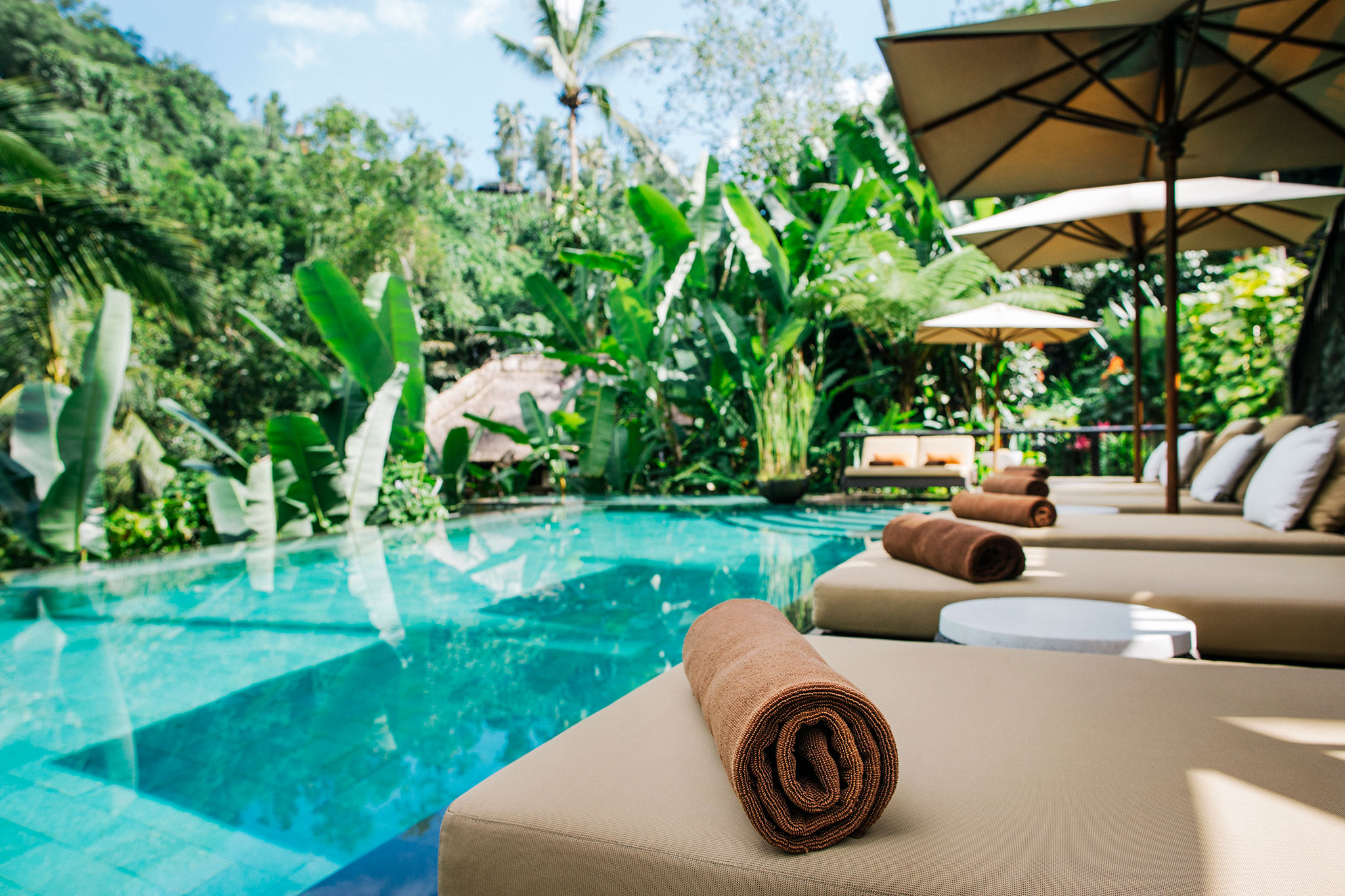 Fresh towels on chaise lounges wait for their guests by a tropical swimming pool.