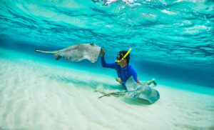 A snorkeler feeds two stingrays on a sandy bottom while underwater.