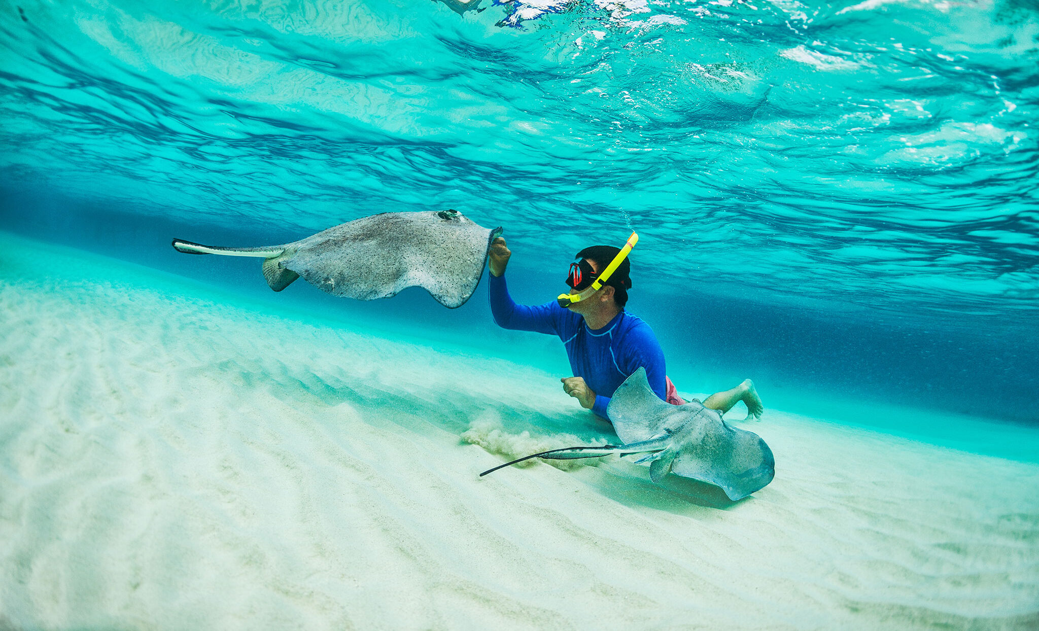 Swim with the Stingrays on Grand Cayman