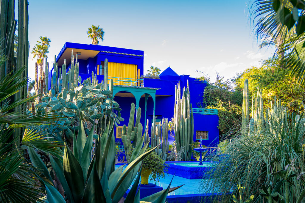 Vivid,Blue,Building,And,Garden,Of,Captus,And,Exotic,Plants.
