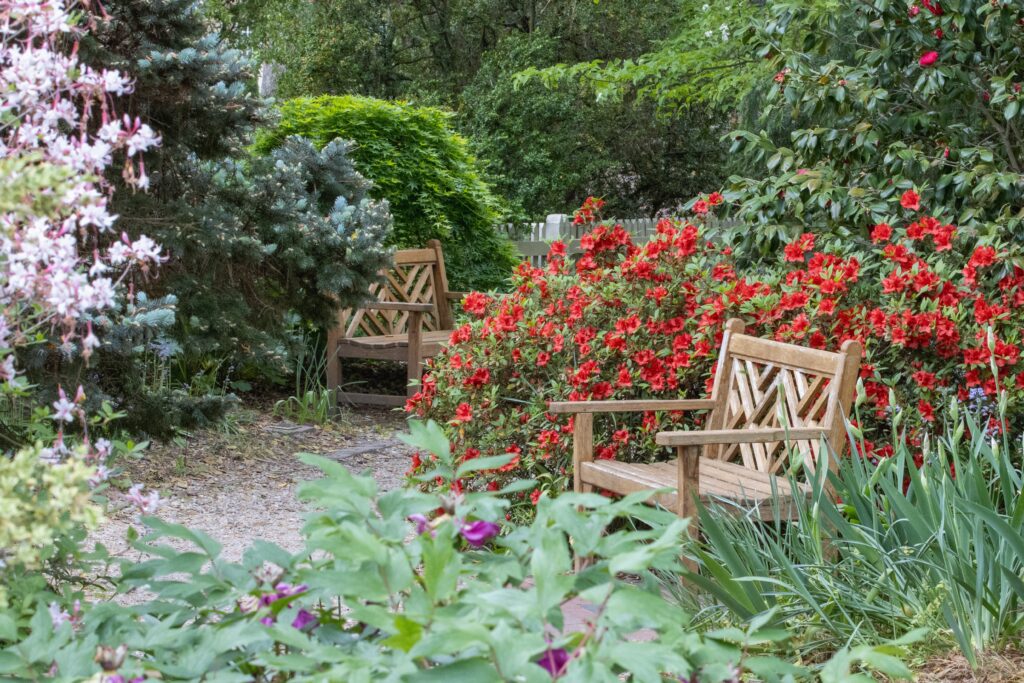 Blooming gardens surrounding Colonial Williamsburg, Virginia, in April, featuring vibrant spring flowers and greenery.
