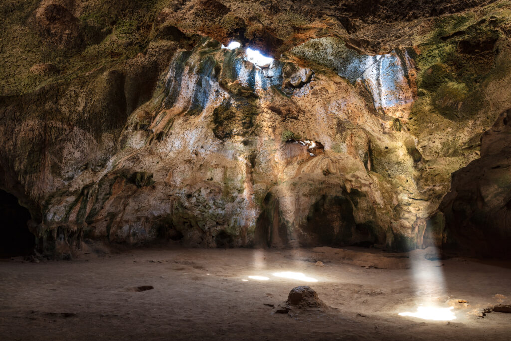 Sunlight streams through openings in a large limestone cave, illuminating textured rock formations and the cavern floor.