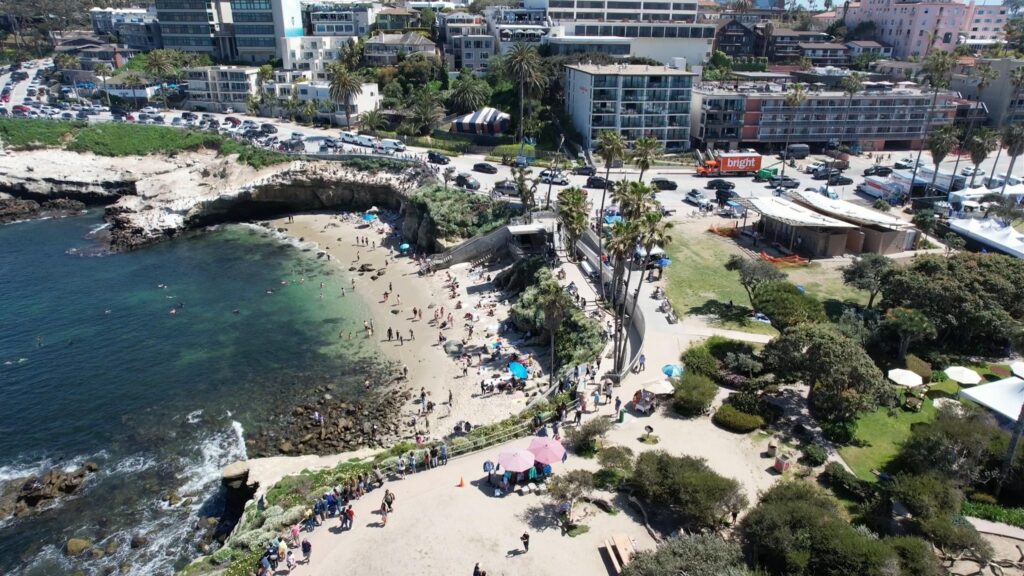 Nestled between sandstone cliffs, La Jolla Cove is part of the San Diego La Jolla Underwater Park Ecological Reserve.